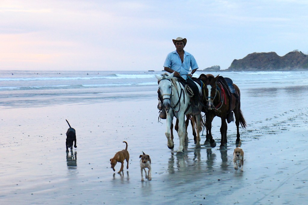 “Broaden Your Horizons”