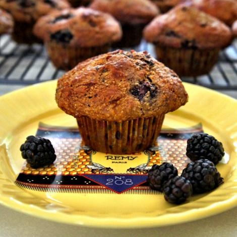 Blackberry Bran Muffin