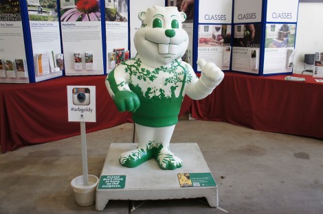 @Instagram #arbgoldy